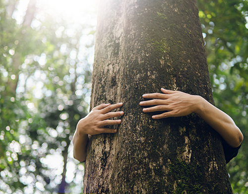 person-hugging-the-tree